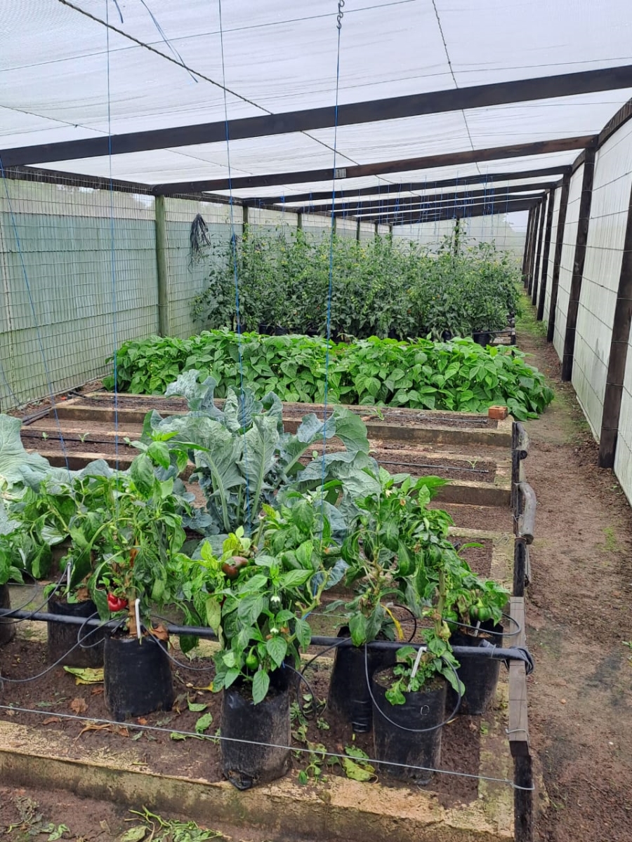 Commercial Property for Sale in St Francis Bay Rural Eastern Cape